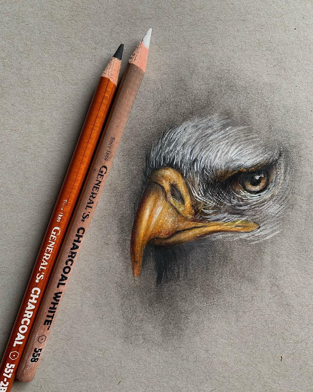 Drawing of an eagle, focusing on the forehead, eye, and beak. Drawn with General's® Charcoal and Charcoal White® pencils on tinted grey paper. Beak and eye tinted with Kimberly® Watercolor Pencils. Artist Jonathan Martinez.