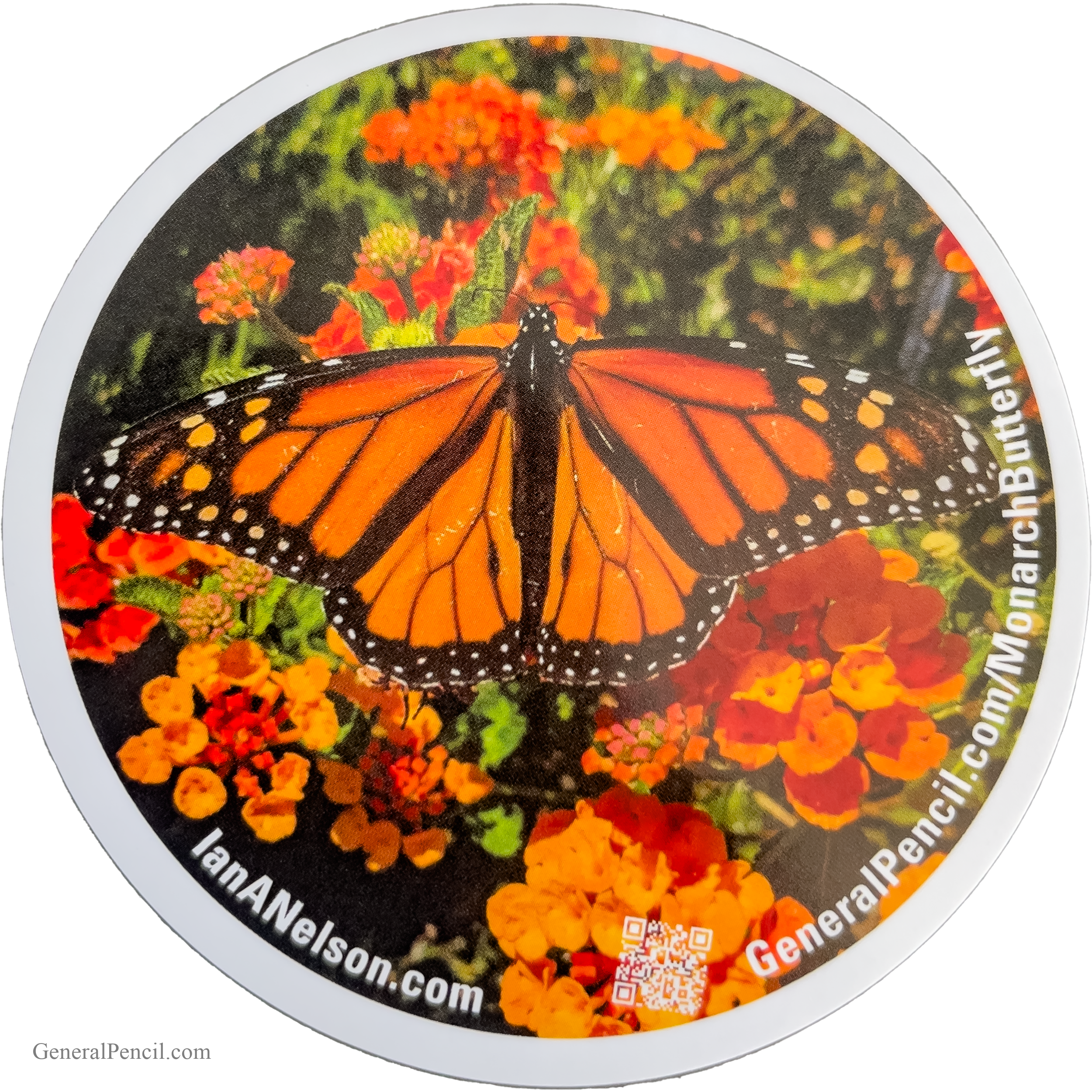 A monarch butterfly with vibrant orange and black wings rests on bright orange and yellow flowers. Surrounding text includes a website URL and social media handle.