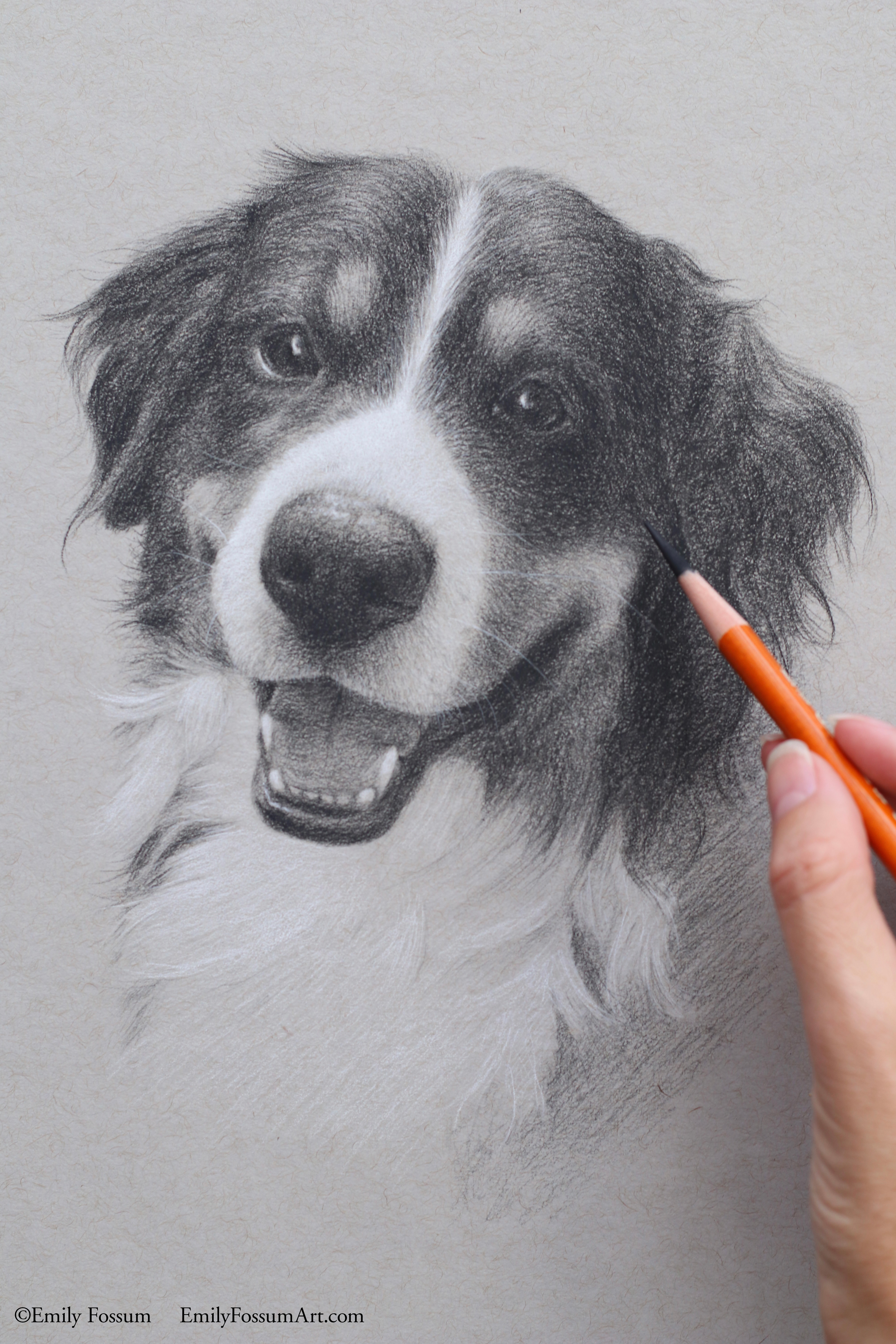 A hand holding a pencil is drawing a realistic portrait of a happy, smiling dog with fluffy fur and expressive eyes on a light-colored paper.