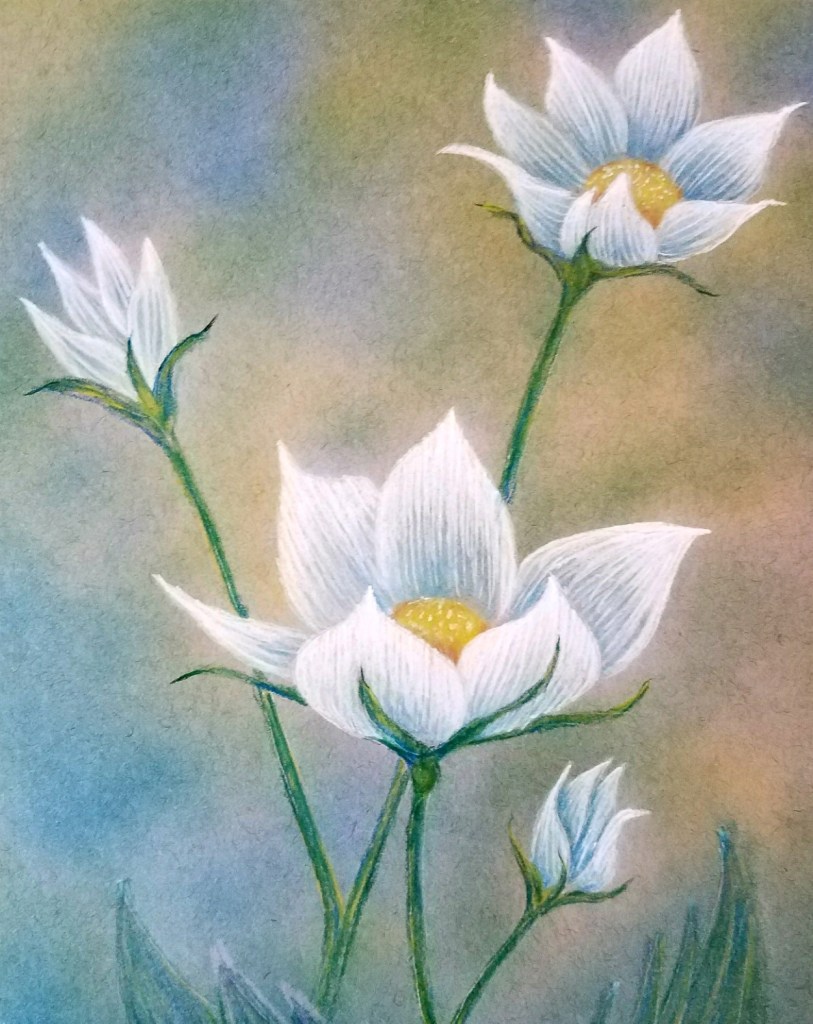 Delicate white flowers with yellow centers and slender green stems are illustrated against a soft, blurred background in pastel shades of blue, green, and beige.